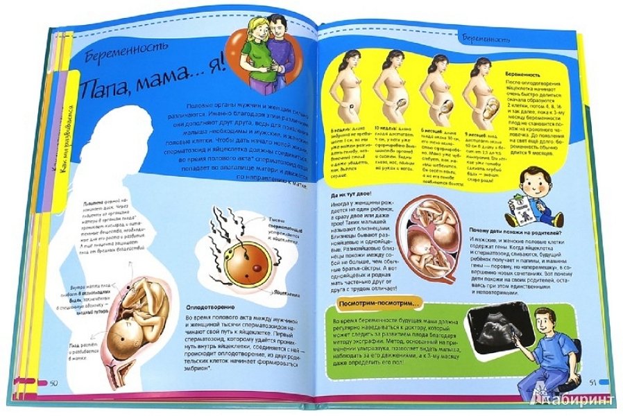 Книги в тело ребенка. Книжка анатомия для детей. Детская книга анатомия человека. Анатомия для детей книга.